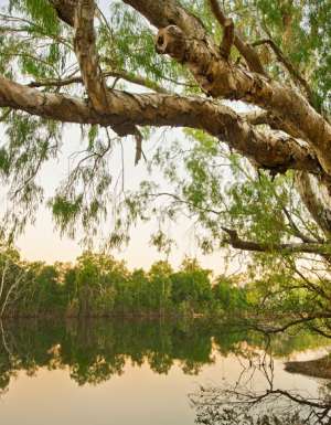 Another $1,249 Lens For A Reader!