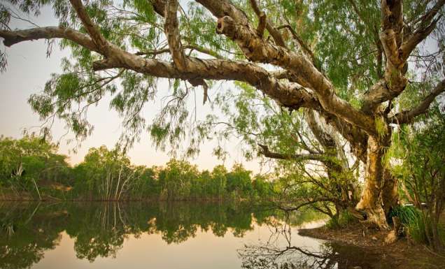 Another $1,249 Lens For A Reader!