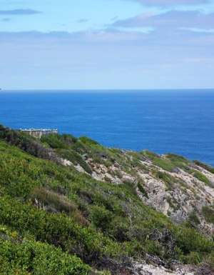 100 Incredible Travel Secrets #60 Cape Liptrap Coastal Park, Vic