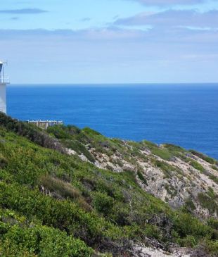 <p><i>100 Incredible Travel Secrets</i> #60 <strong>Cape Liptrap Coastal Park</strong>, <strong>Vic</strong></p>
