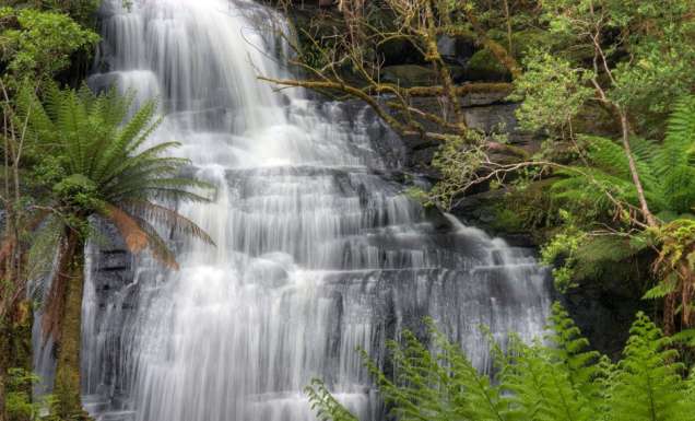 100 Incredible Travel Secrets #92 The Cascades, Vic