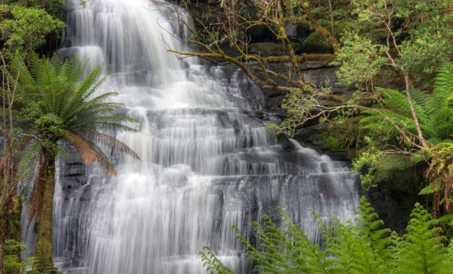 100 Incredible Travel Secrets #92 The Cascades, Vic