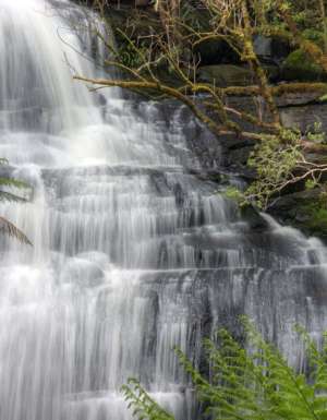 100 Incredible Travel Secrets #92 The Cascades, Vic