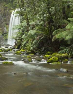 100 Incredible Travel Secrets #74 The Otway Ranges, Vic
