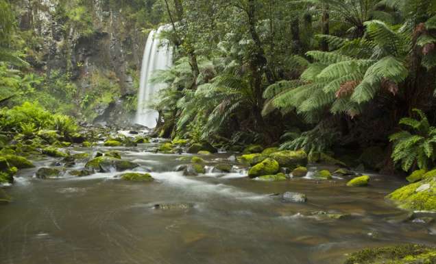 100 Incredible Travel Secrets #74 The Otway Ranges, Vic