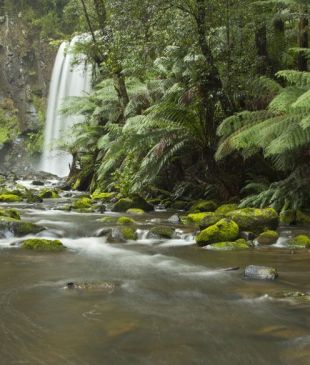 <p><i>100 Incredible Travel Secrets</i> #74 The <strong>Otway Ranges</strong>, <strong>Vic</strong></p>
