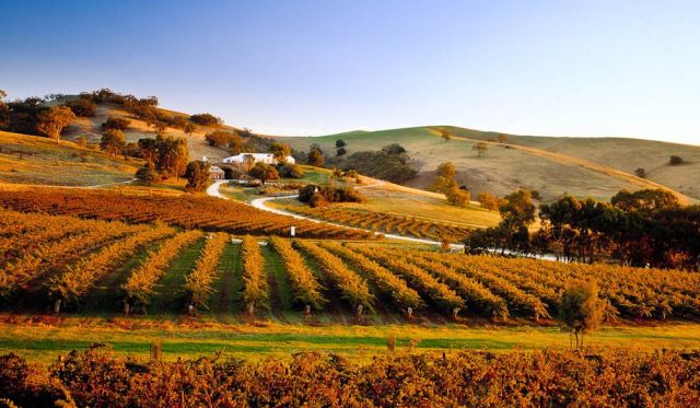 The good old Barossa for Quentin and Nigel's loved ones