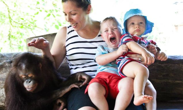 Quentin's family 'enjoying' their holiday - refer to his lessons one through four