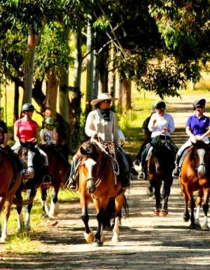 Margaret River by horseback