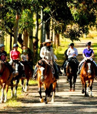 <p><i>7 of the best</i> Long Weekend Family Holidays in <strong>Australia</strong></p>
