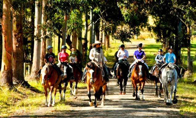 Margaret River by horseback