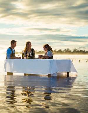 Oyster shucking Coles Bay-style.