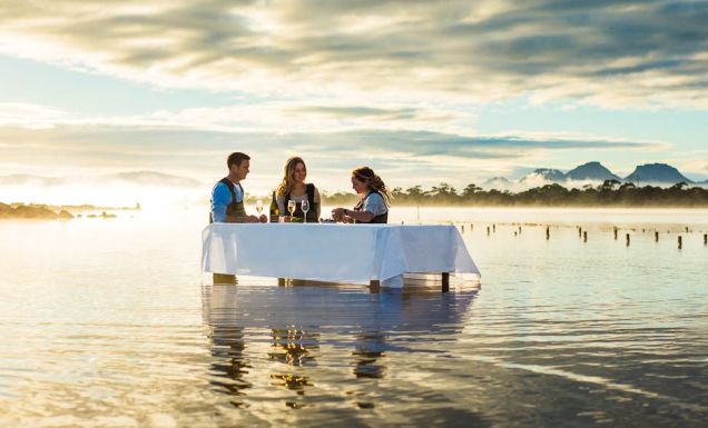 Oyster shucking Coles Bay-style.