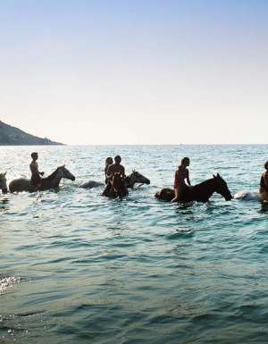 A swim with horses in where else but Horseshoe Bay, Magnetic Island