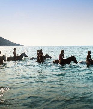 <p><i>Why you should visit</i> <strong>Magnetic Island</strong>, <strong>QLD</strong></p>
