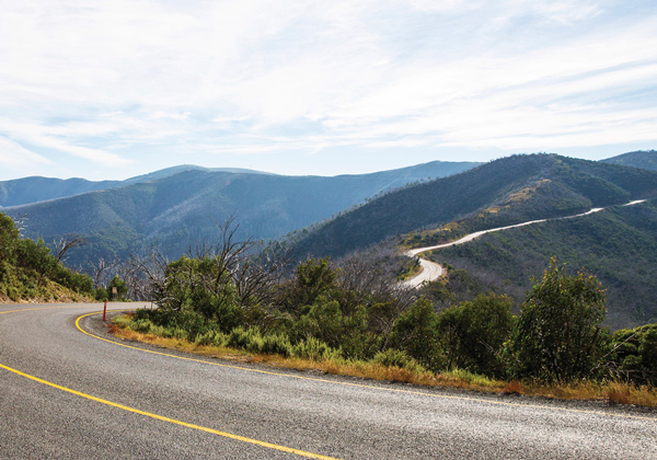 Great Alpine Road