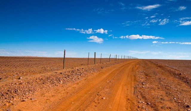 Australia's longest fence