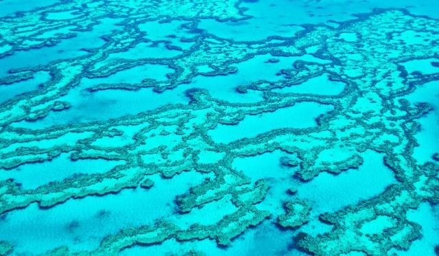 Great Barrier Reef around Hayman