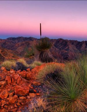Arkaroola, in the northern Flinders Ranges, a favourite of both Dick Smith and Sir Douglas Mawson.