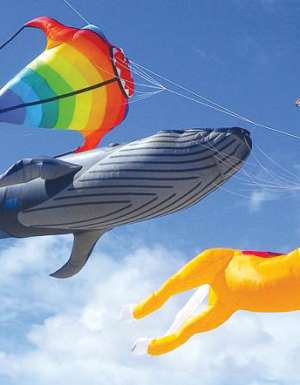 51: Get tangled up in a kite festival