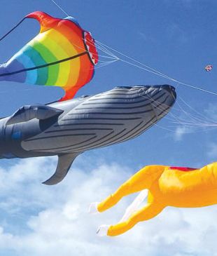 <p><i>51: Get tangled up</i> in a kite festival</p>
