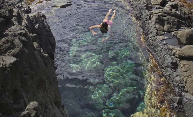 6: Discover the underwater world of rockpools