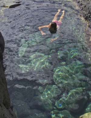 6: Discover the underwater world of rockpools