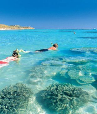 <p><i>18: Strap on some snorkelling gear</i> and see a whole new world</p>
