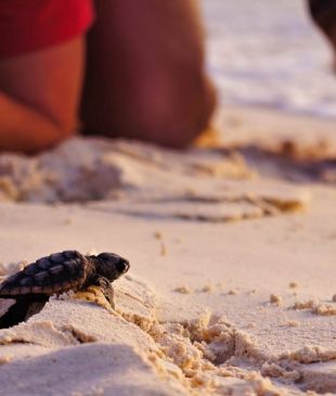 <p><i>Why &#8216;Voluntourism&#8217;</i> should be a &#8216;staycation&#8217;</p>
