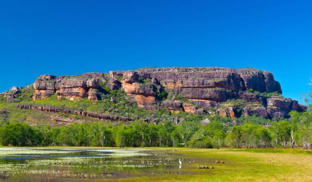 Anbangbang Billabong, Kakadu (Photo: Tracy Ryan).