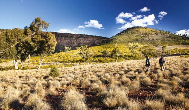 Bennetts Gorge Walk Gunderbooka National Park - OEH David Finnegan.jpg