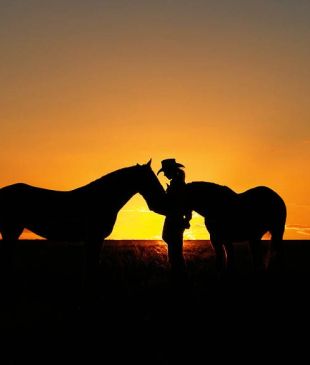 <p><i>5 great horseback holidays</i> in <strong>Australia</strong></p>
