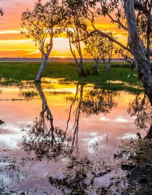 Escape artists: When travel & art collide