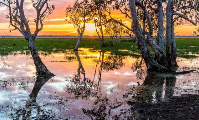 Escape artists: When travel & art collide