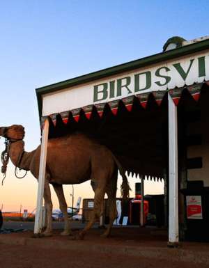 4 outback races without the sweat