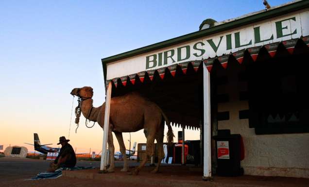 4 outback races without the sweat