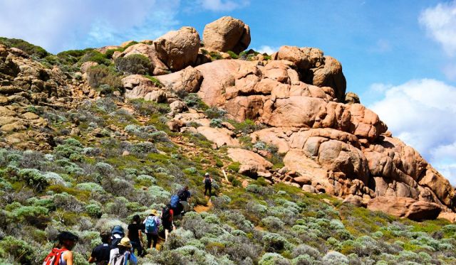 Cape to Cape track WA