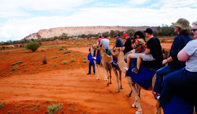 Pyndan Camel Tracks, Alice Springs Northern Territory