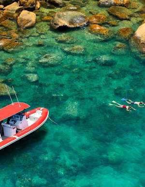 Could be you: snorkelling Coral Gardens, Orpheus Islands.