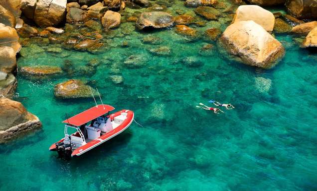 Could be you: snorkelling Coral Gardens, Orpheus Islands.