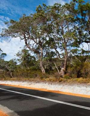 Cruising through the diverse Walpole-Nornalup National Park.