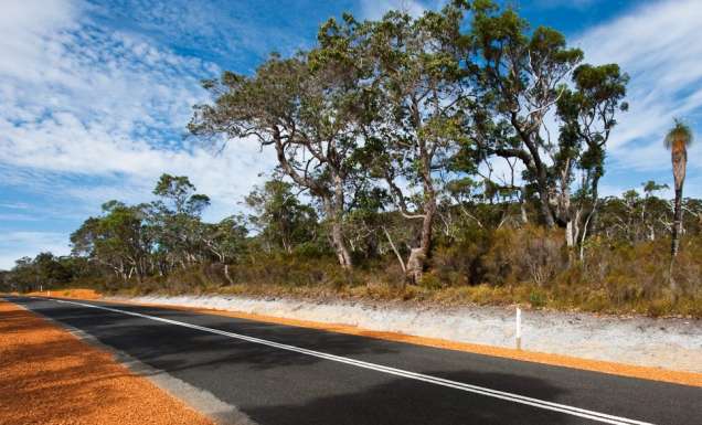 Cruising through the diverse Walpole-Nornalup National Park.