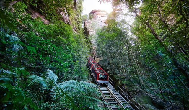 Steep: the Scenic Railway, Blue Mountains.