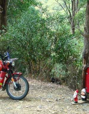 3. Mt Buller, Vic. In the base of a tree on the side of the road up to Mt Buller lives a little gnome family with a little gnome letterbox. We left our calling card.