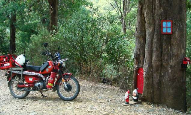 3. Mt Buller, Vic. In the base of a tree on the side of the road up to Mt Buller lives a little gnome family with a little gnome letterbox. We left our calling card.