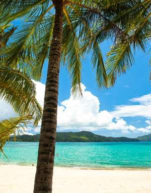 The People have spoken... and this is what they've said!