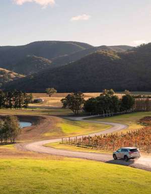 Logan Wines, near Mudgee, NSW, Australia
