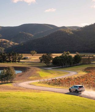 <p><strong>Orange</strong> versus <strong>Mudgee</strong>: <i>which town comes out on top?</i></p>
