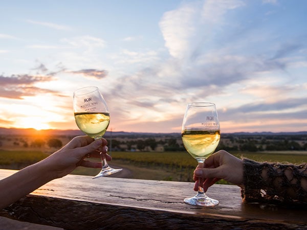Wine glasses, Moothi Estate, Mudgee, NSW, Australia