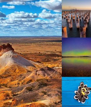<p><i>The best</i> <strong>Australian</strong> Instagram pictures trending right now</p>
